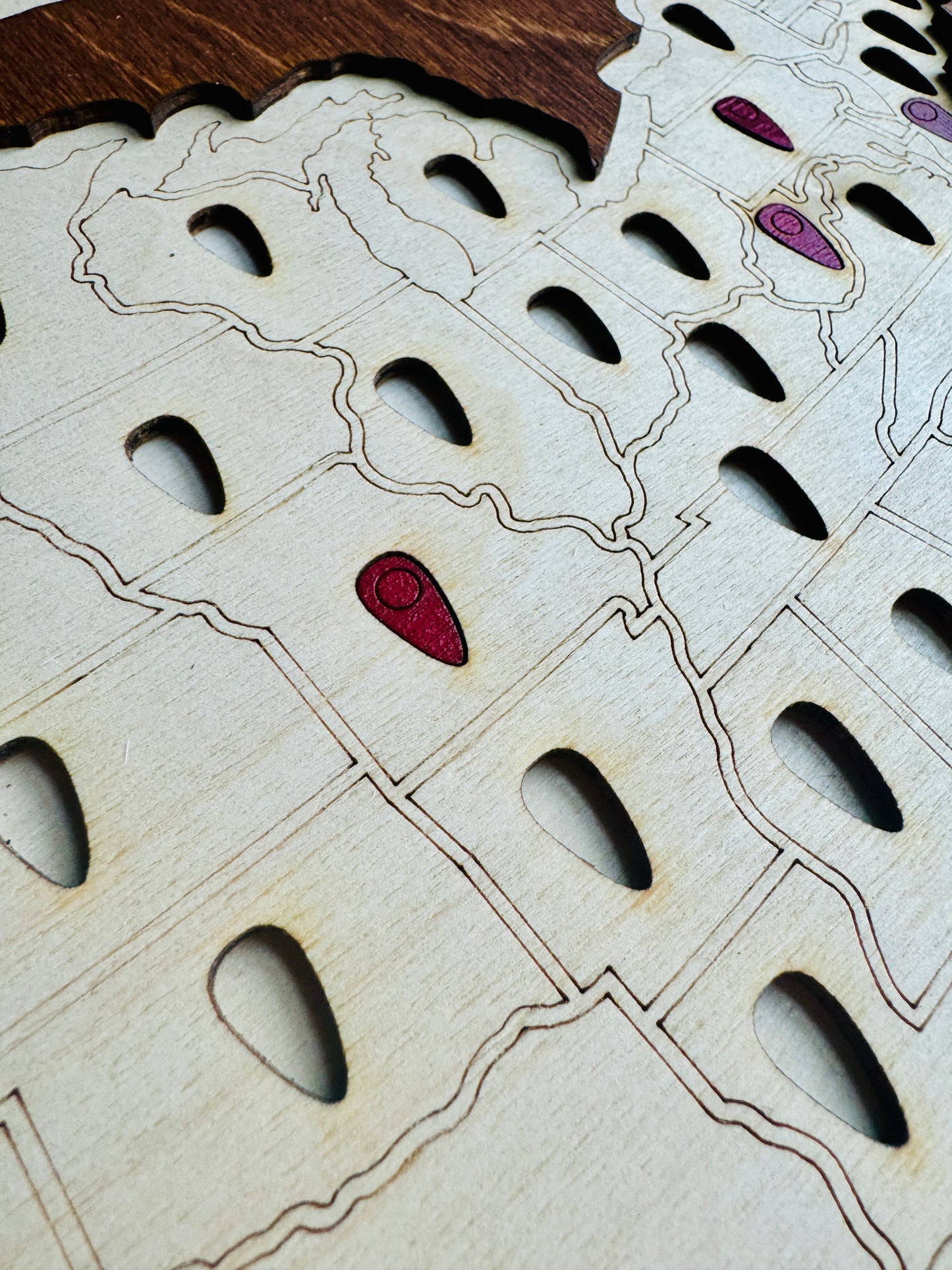 50 States Tracker Map